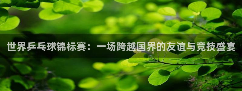 意昂4：世界乒乓球锦标赛：一场跨越国界的友谊与竞技盛宴