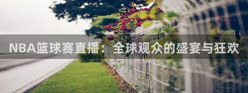 意昂4官网：NBA篮球赛直播：全球观众的盛宴与狂欢