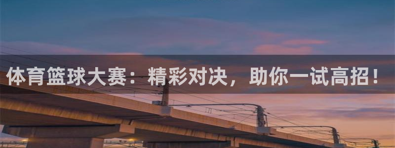 意昂4娱乐官网入口：体育篮球大赛：精彩对决，助你一试高招！