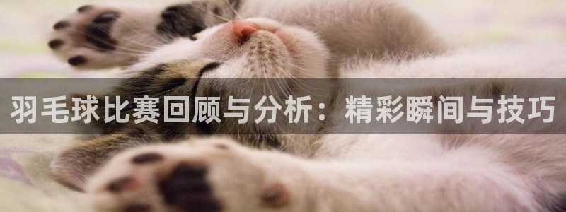 凯捷体育：羽毛球比赛回顾与分析：精彩瞬间与技巧