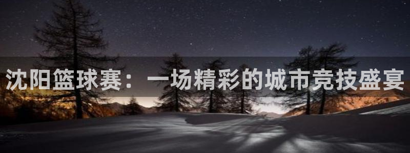 意昂4娱乐官网入口：沈阳篮球赛：一场精彩的城市竞技盛宴