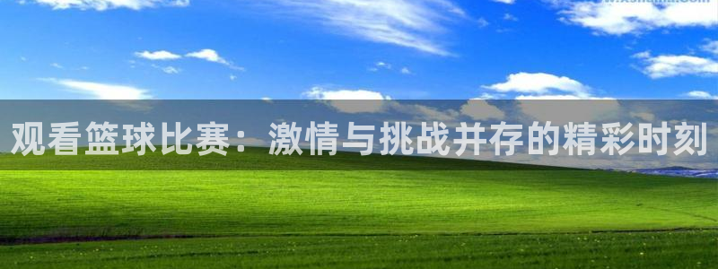 意昂4平台登录：观看篮球比赛：激情与挑战并存的精彩时刻