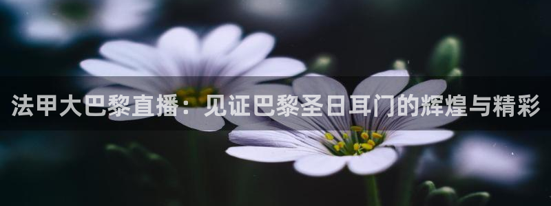 新闻图片
