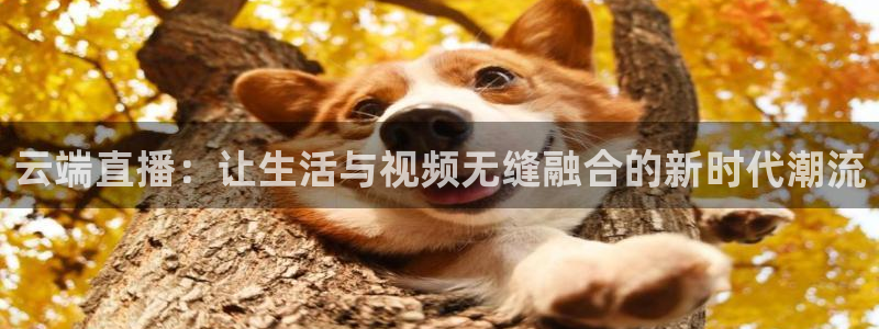 24直播网jrs：云端直播：让生活与视频无缝融合的新时代潮流